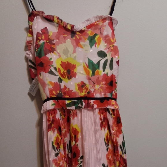 𝅺NWT Anthropolgie Foxidox Floral Accordian Pleated Dress - Picture 3 of 14